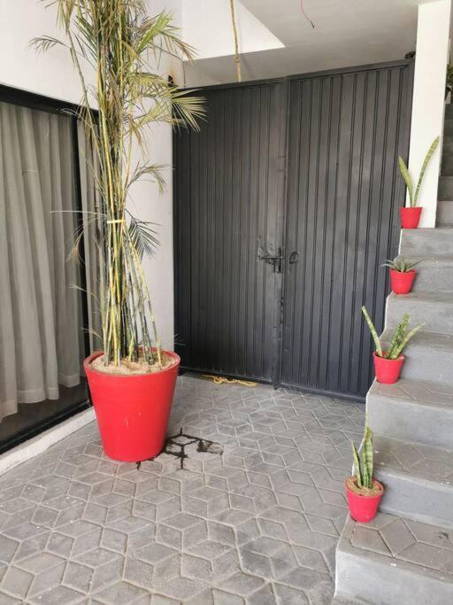 Maar Estudios 6, A 2 Cuadras Del Malecon De La Paz Kültér fotó