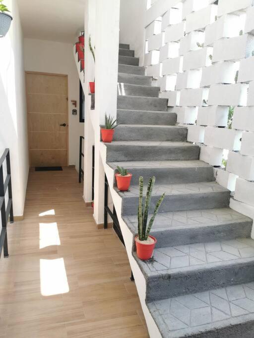 Maar Estudios 6, A 2 Cuadras Del Malecon De La Paz Kültér fotó